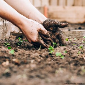 Topsoil, Compost, and Amendments